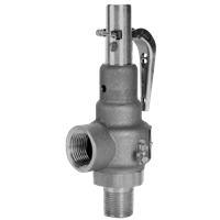 WSVB Series Safety Relief Valve